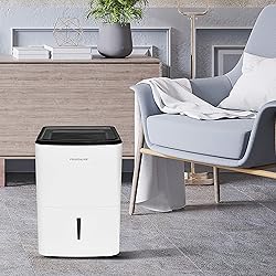 22 Pint Dehumidifier