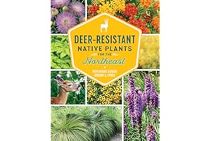 Deer-Resistant Native Plants for the Northeast