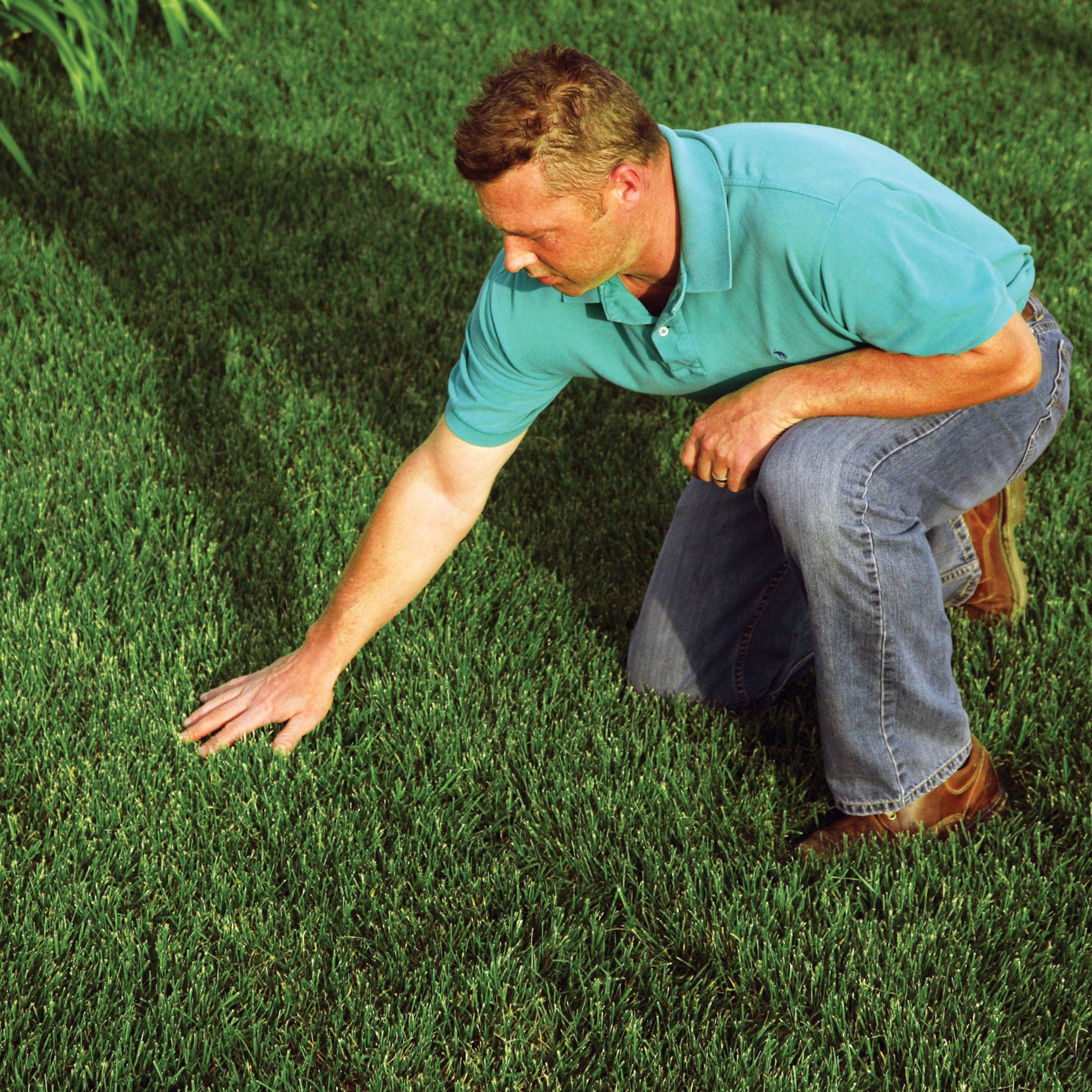 EZStraw Seeding Mulch with Tack Biodegradable Organic Processed