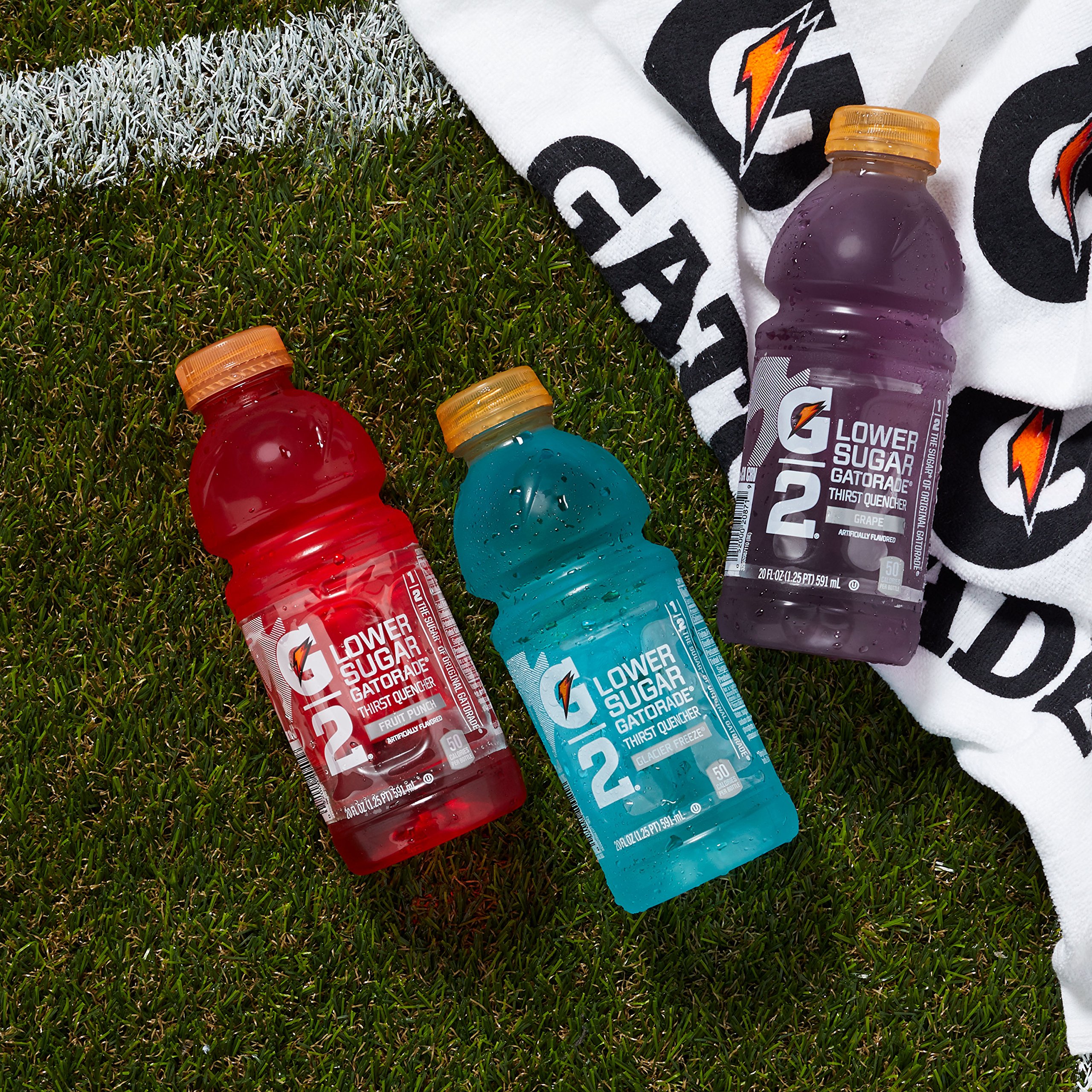 Gatorade G2 Thirst Quencher Variety Pack, 20 Ounce Bottles (Pack of 12) Buy Online in UAE