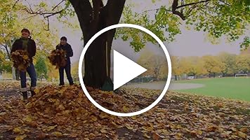 A video posted by the author.