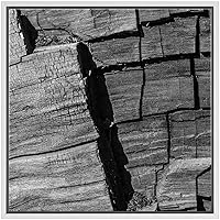 SIGNWIN Framed Canvas Wall Art Old Aged Drift Wood Grain Tree Bark Nature Texture Photography Minimalism Modern Closeup Dramatic Black and White for Living Room, Bedroom, Office - 16
