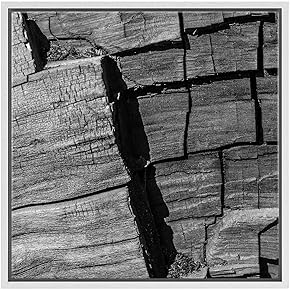 SIGNWIN Framed Canvas Wall Art Old Aged Drift...