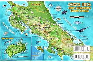 Costa Rica Dive Map & Pacific Reef Creatures Guide Franko Maps Waterproof Fish Card