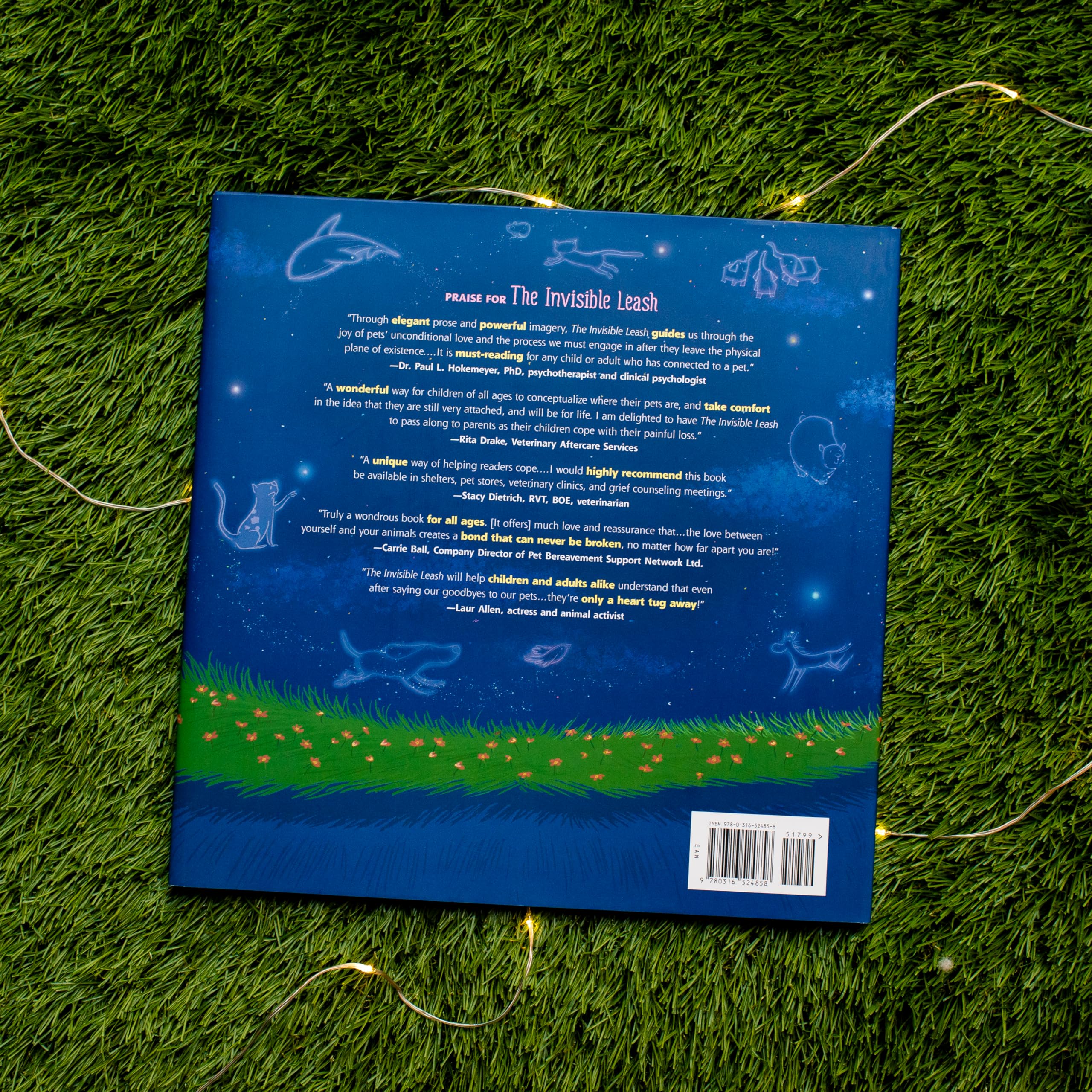 The Invisible Leash: An Invisible String Story About the Loss of a Pet (The Invisible String, 3) The Invisible Leash: An Invisible String Story About the Loss of a Pet (The Invisible String, 3) Hardcover Paperback Kindle Audible Audiobook