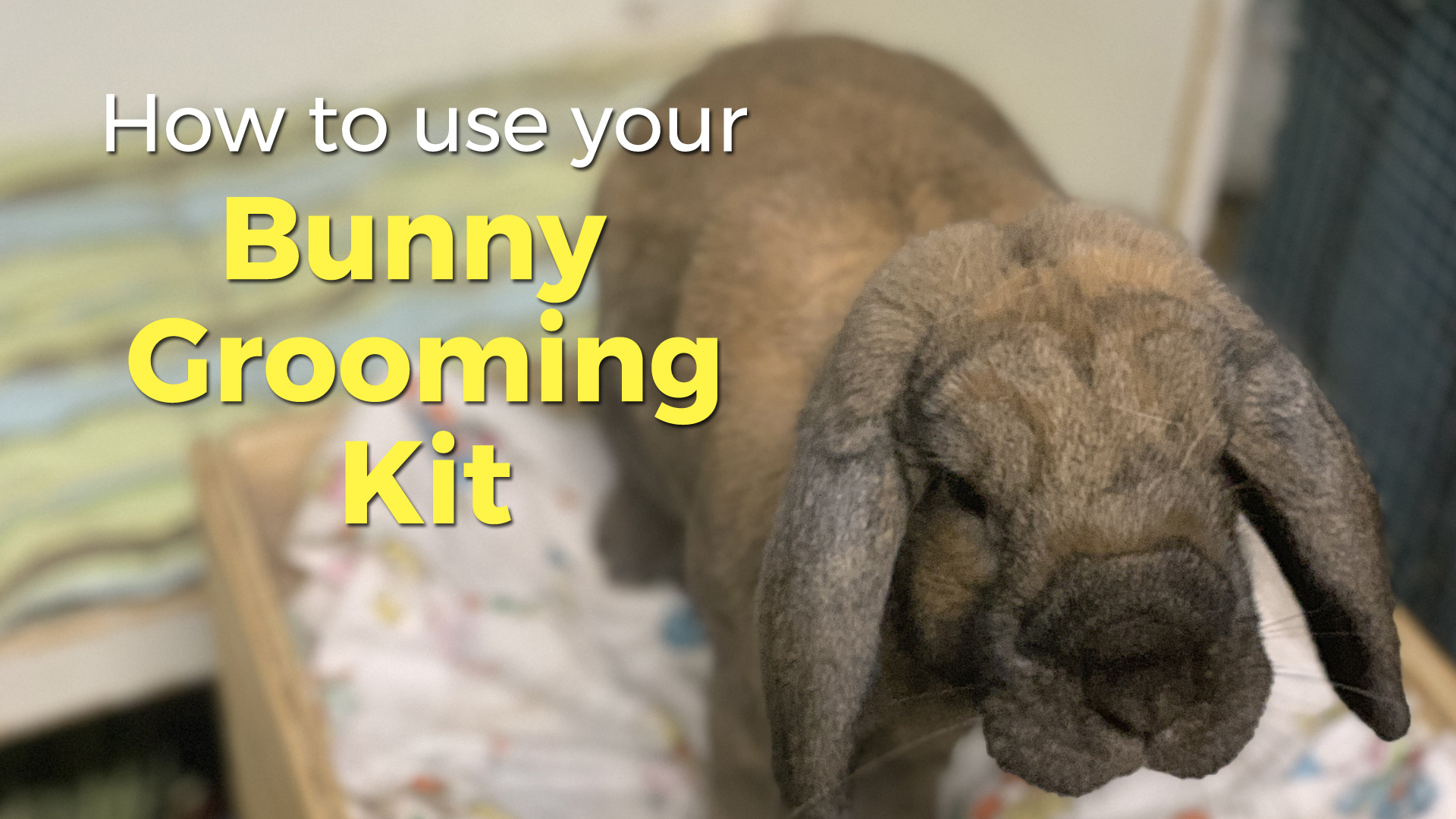 5 Rabbit+Grooming+Brush+Remover+Guinea