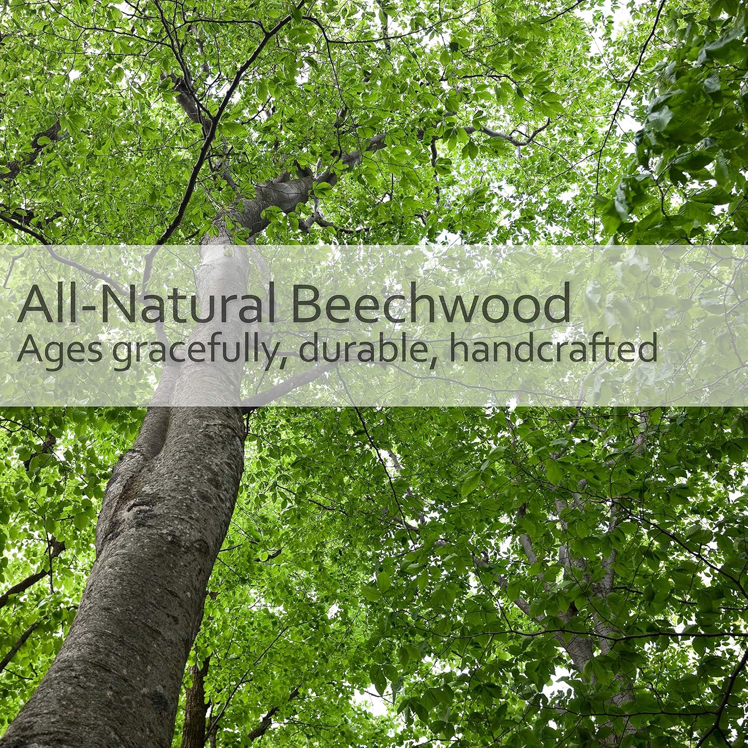 Redecker Natural Pig Bristle Nail Brush with Untreated Beechwood Handle, 3-3/4-Inches : Beauty
