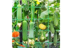 SICCOMA Plant Trellis Netting for Climbing Plants Outdoor Heavy Duty Plastic Garden Trellis Netting 27 Strands Plant Climbing Net Strong Support for Clematis, Cucumber,Tomatoes and Vine Plants （5.9x5.9FT）