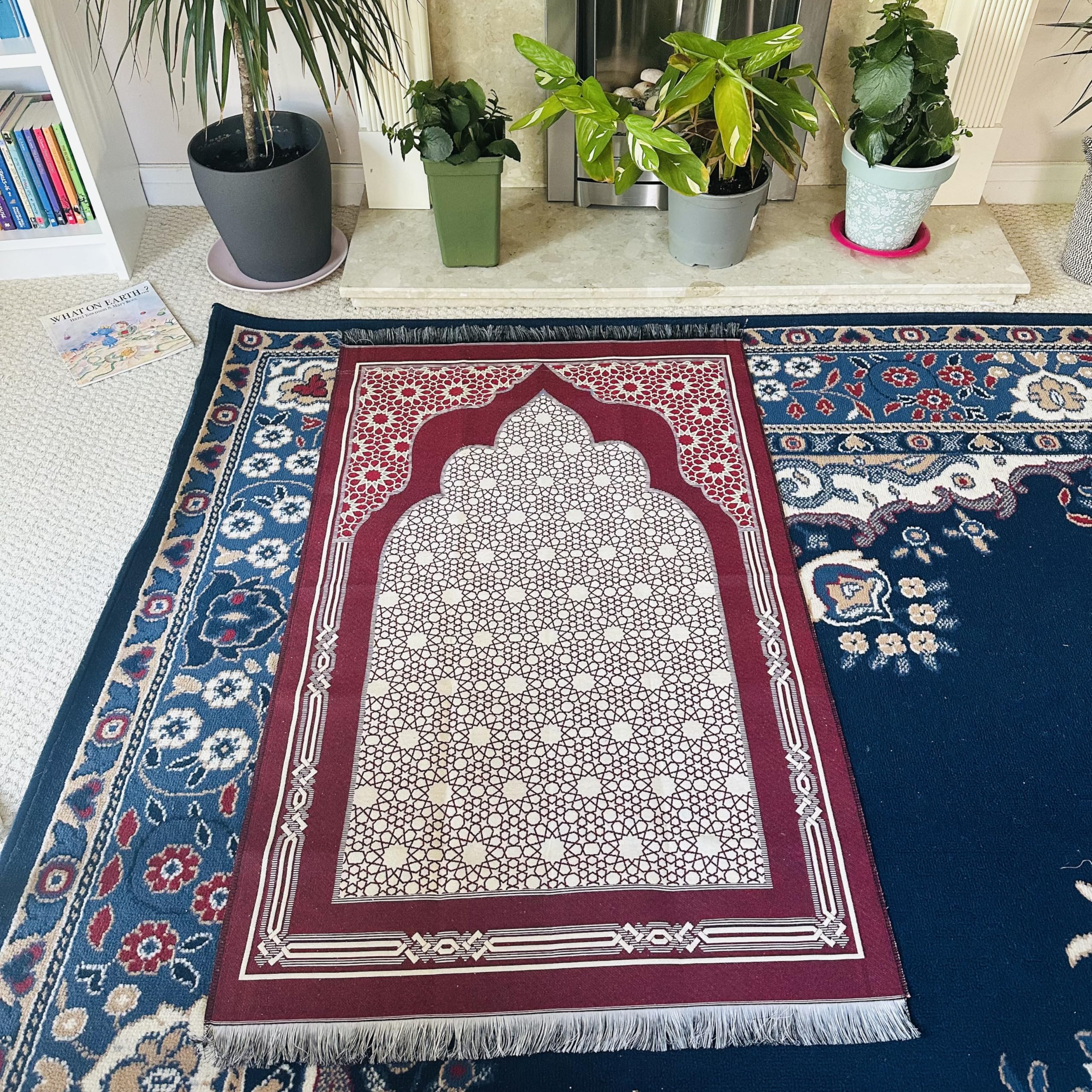 View 4