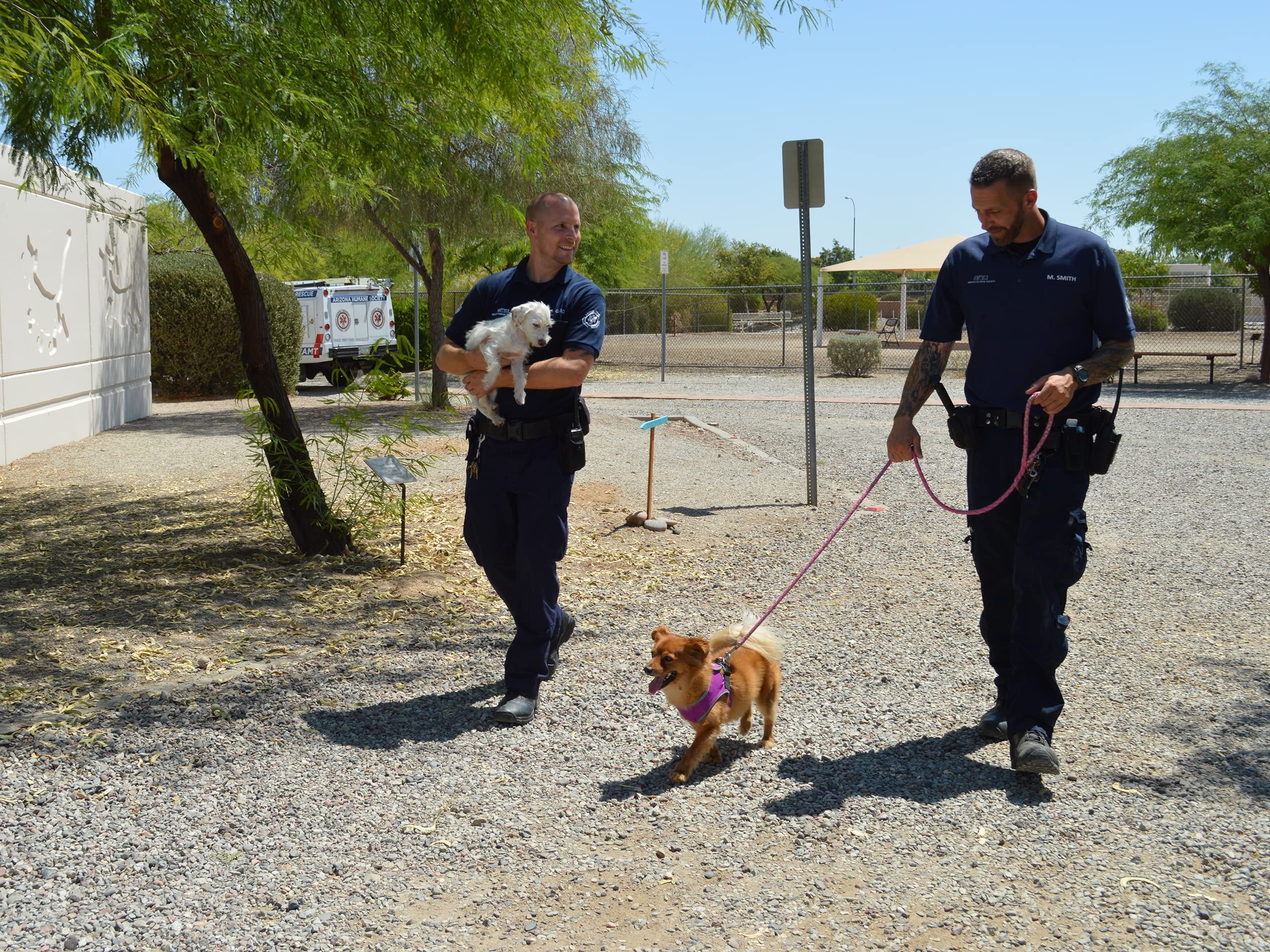 Watch Animal Cops Phoenix Season 4 Prime Video