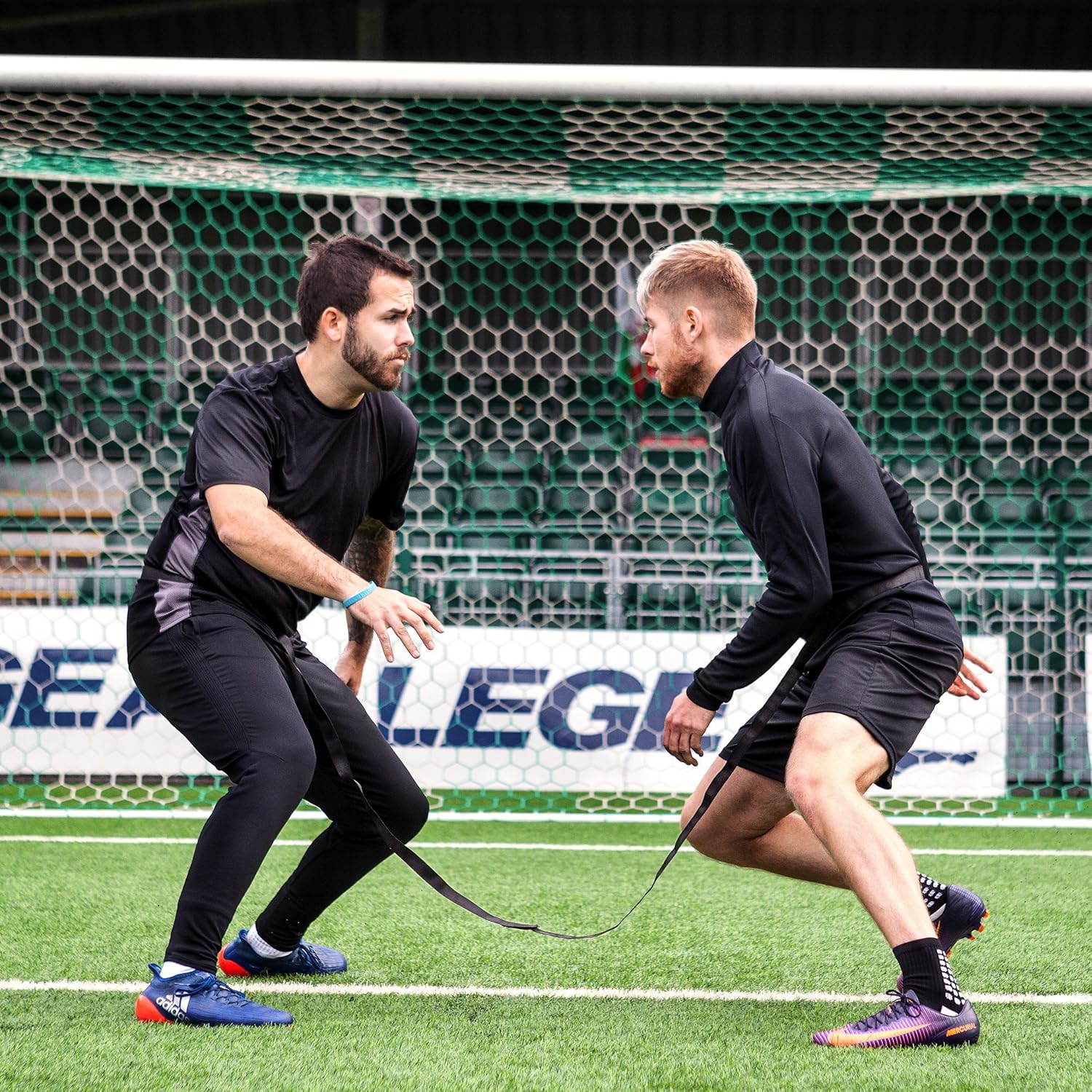 forza training equipment