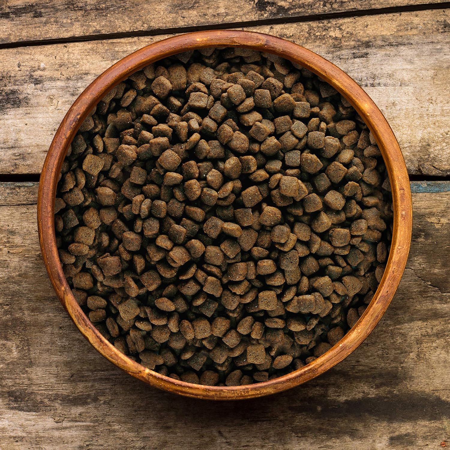 earthborn holistic coastal catch 12kg