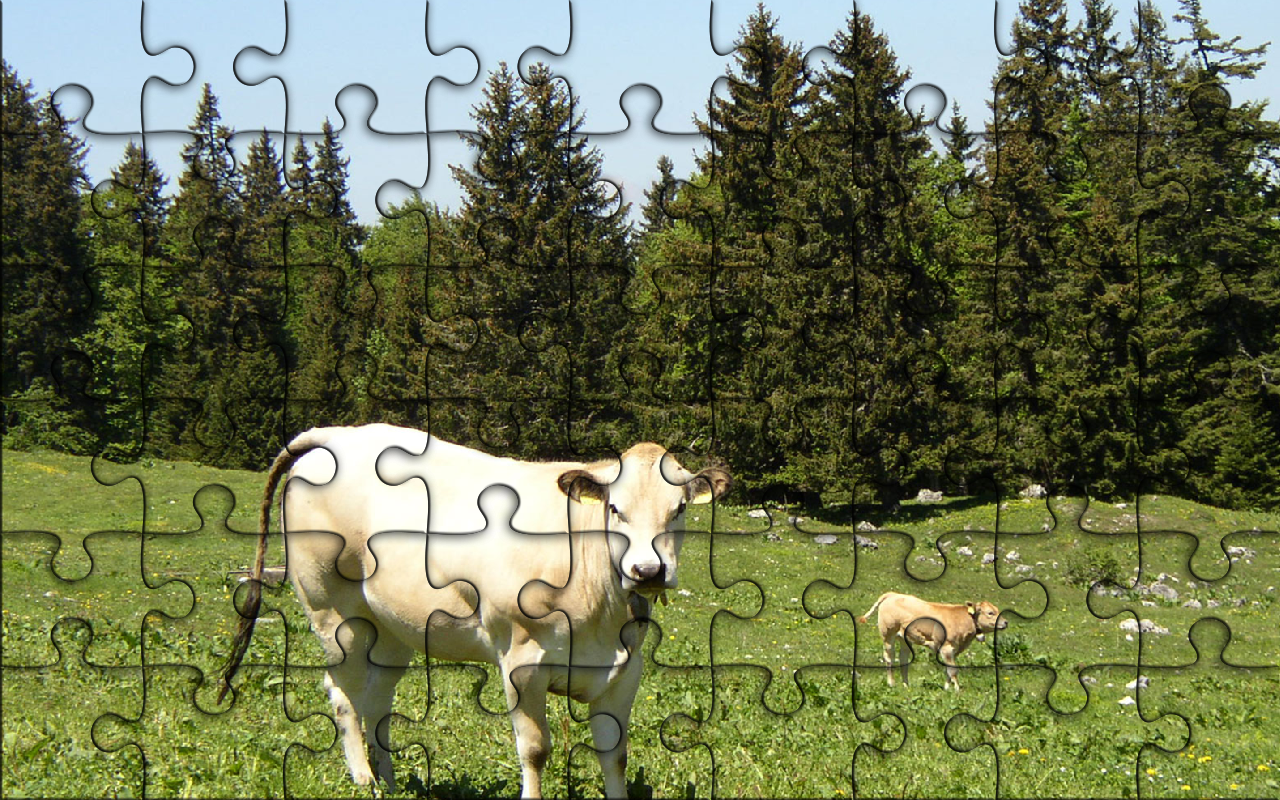 Jiggy P jigsaw puzzles free game Amazon.ca Apps for Android