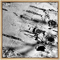 SIGNWIN Framed Canvas Wall Art White Aspen Forest Tree Bark Nature Texture Photography Minimalism Modern Closeup Dramatic Black and White for Living Room, Bedroom, Office - 16