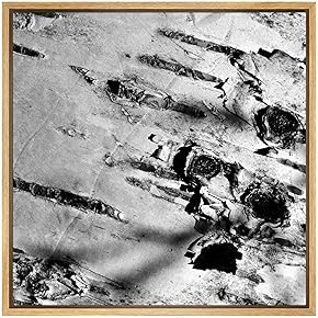 SIGNWIN Framed Canvas Wall Art White Aspen Forest...