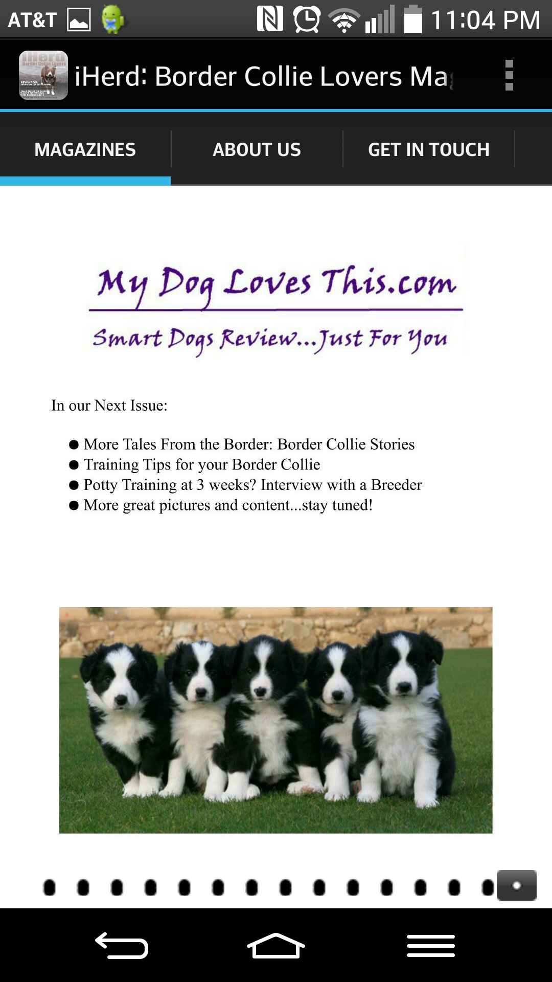 iHerd:Border Collie Lovers magazine