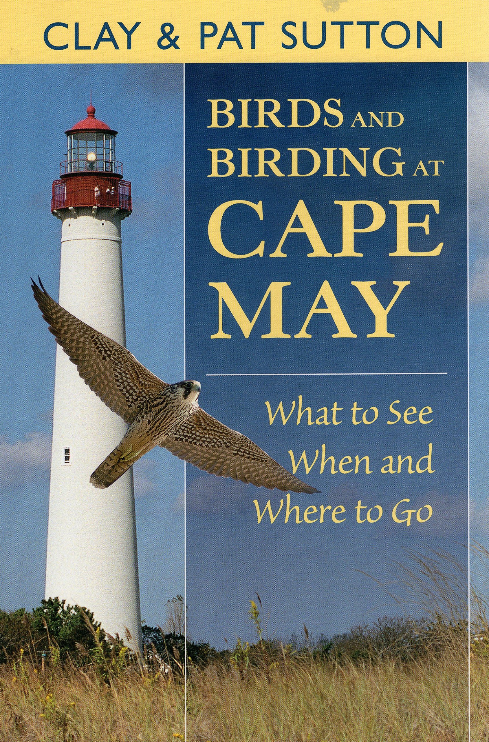 Cape may bird watching Clearance
