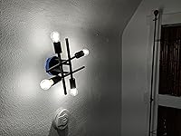 Review Image by Shannon