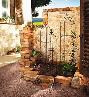 Dekoleidenschaft 3er Set Rankhilfe Schwertlilie, aus Metall, schwarz, Rankobelisk