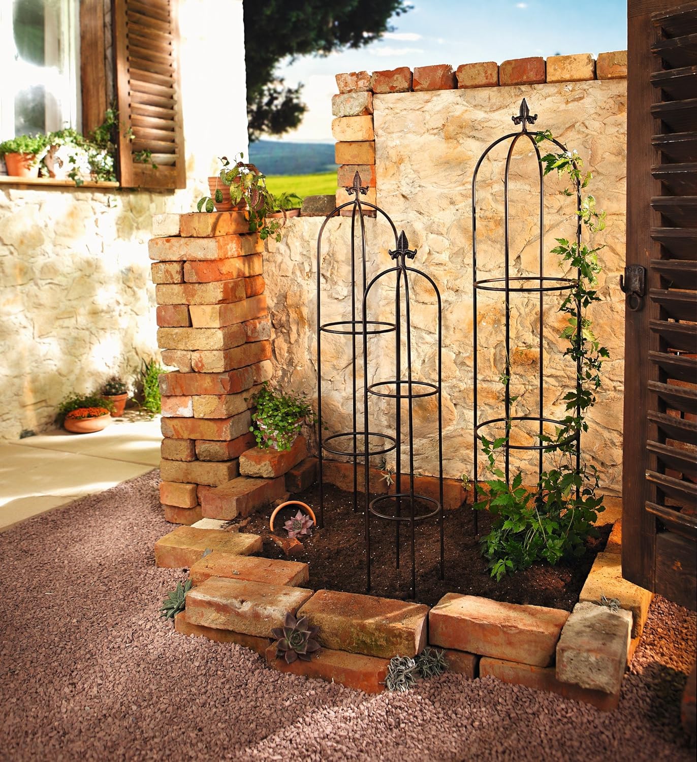 Dekoleidenschaft 3er Set Rankhilfe Schwertlilie, aus Metall, schwarz, Rankobelisk