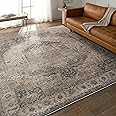 Jaipur Living Soft 3x8 Runner Rug, Boho, Tan/Slate