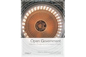 Open Government: Collaboration, Transparency, and Participation in Practice