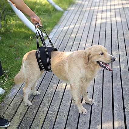 porte bébé pour chien