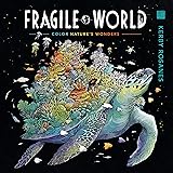 Fragile World