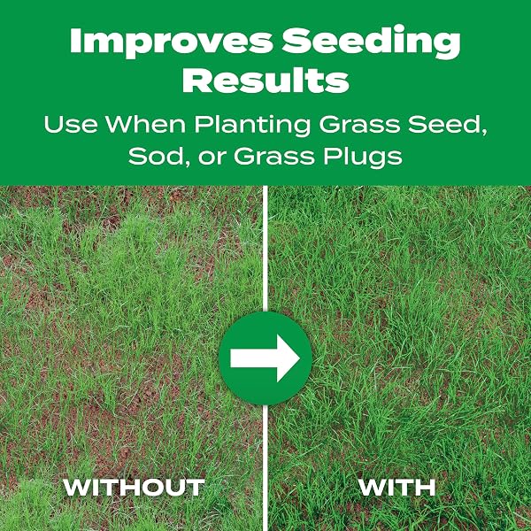 SCOTTS TURF BUILDER STARTER FOOD FOR NEW GRASS, 15 LB. – LAWN FERTILIZER FOR NEWLY PLANTED GRASS, ALSO GREAT FOR SOD AND GRASS PLUGS – COVERS 5,000 SQ. FT.