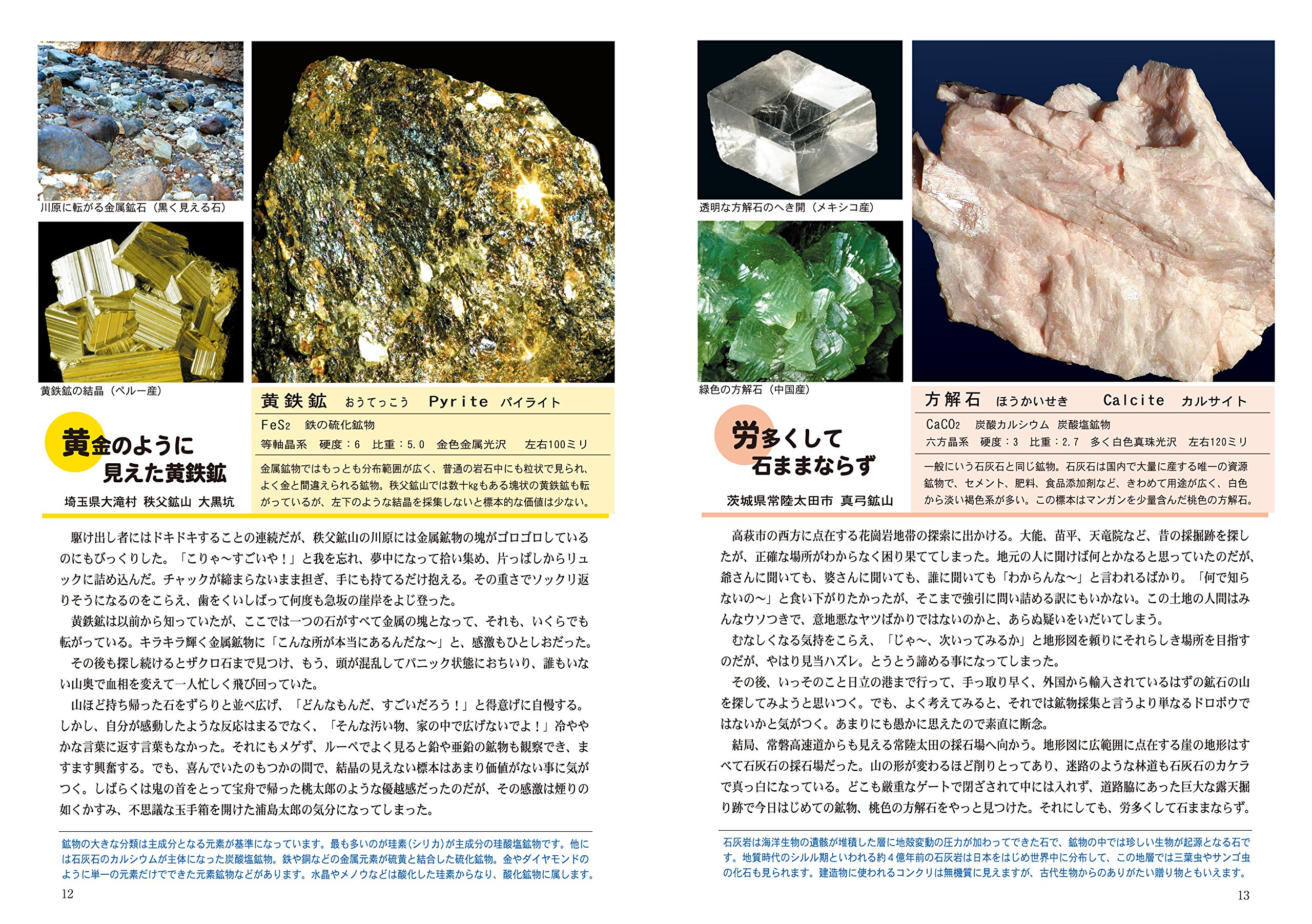 趣味の鉱石 トレジャーハンター 増補改訂版 板垣 清司 本 通販 Amazon