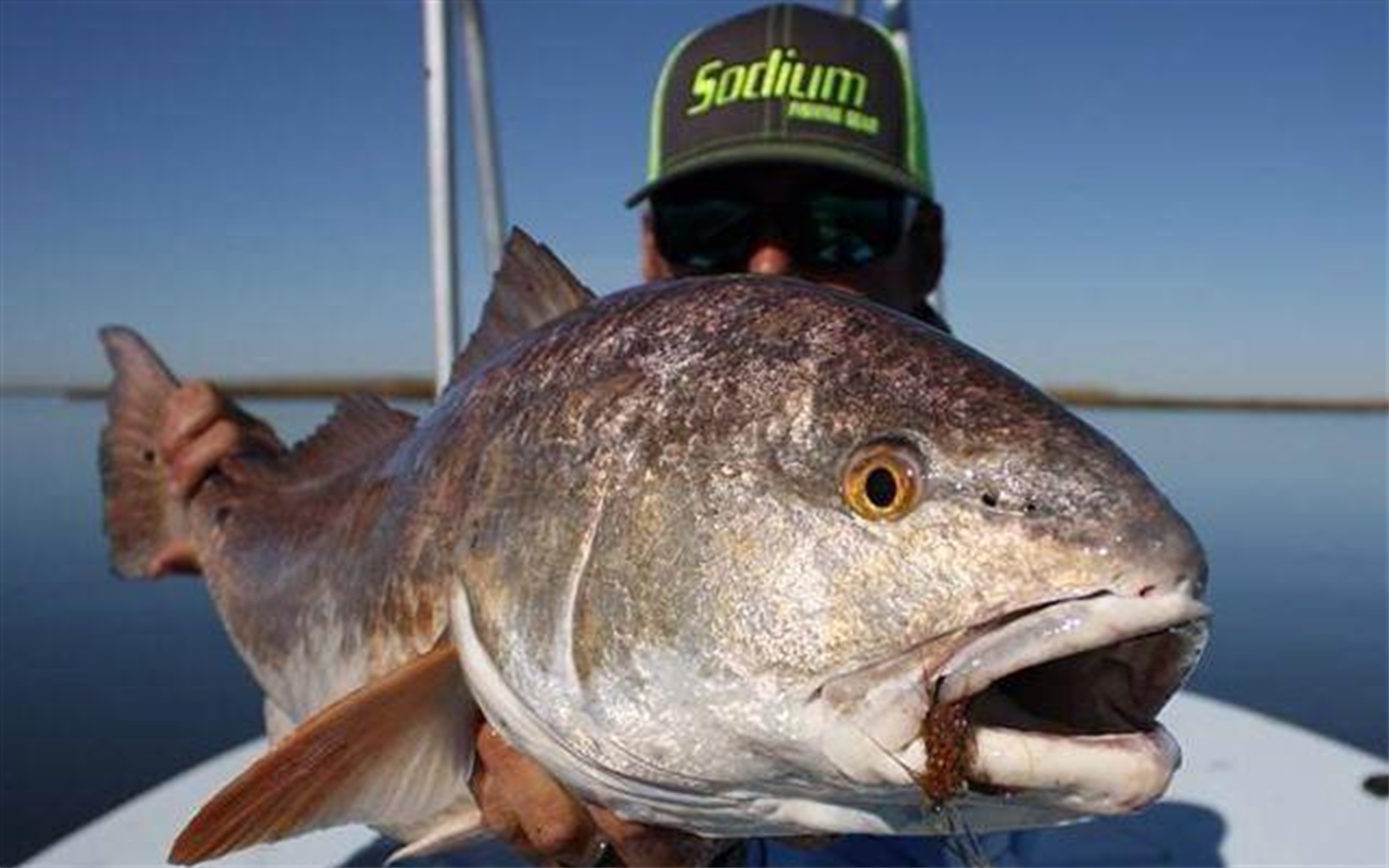 Sodium Fishing Gear:Amazon.com:Appstore 