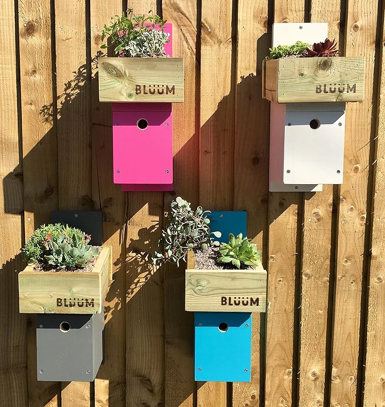 Wild Bird Nesting Box with Green Roof Planter: Amazon.co.uk: Handmade
