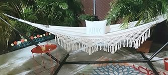 Review Image by Zulma Guerra