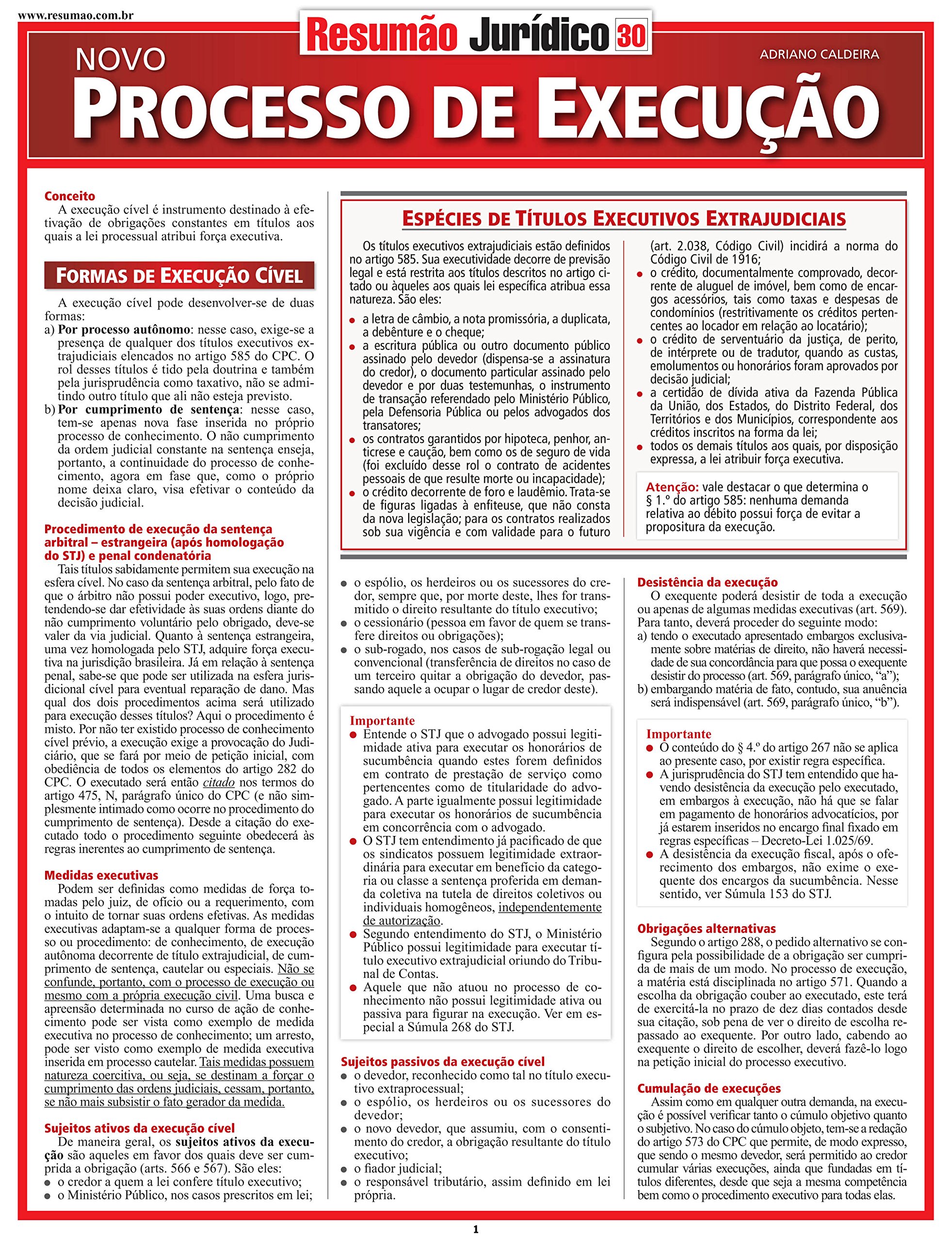 Processo de Execução PDF Adriano Caldeira