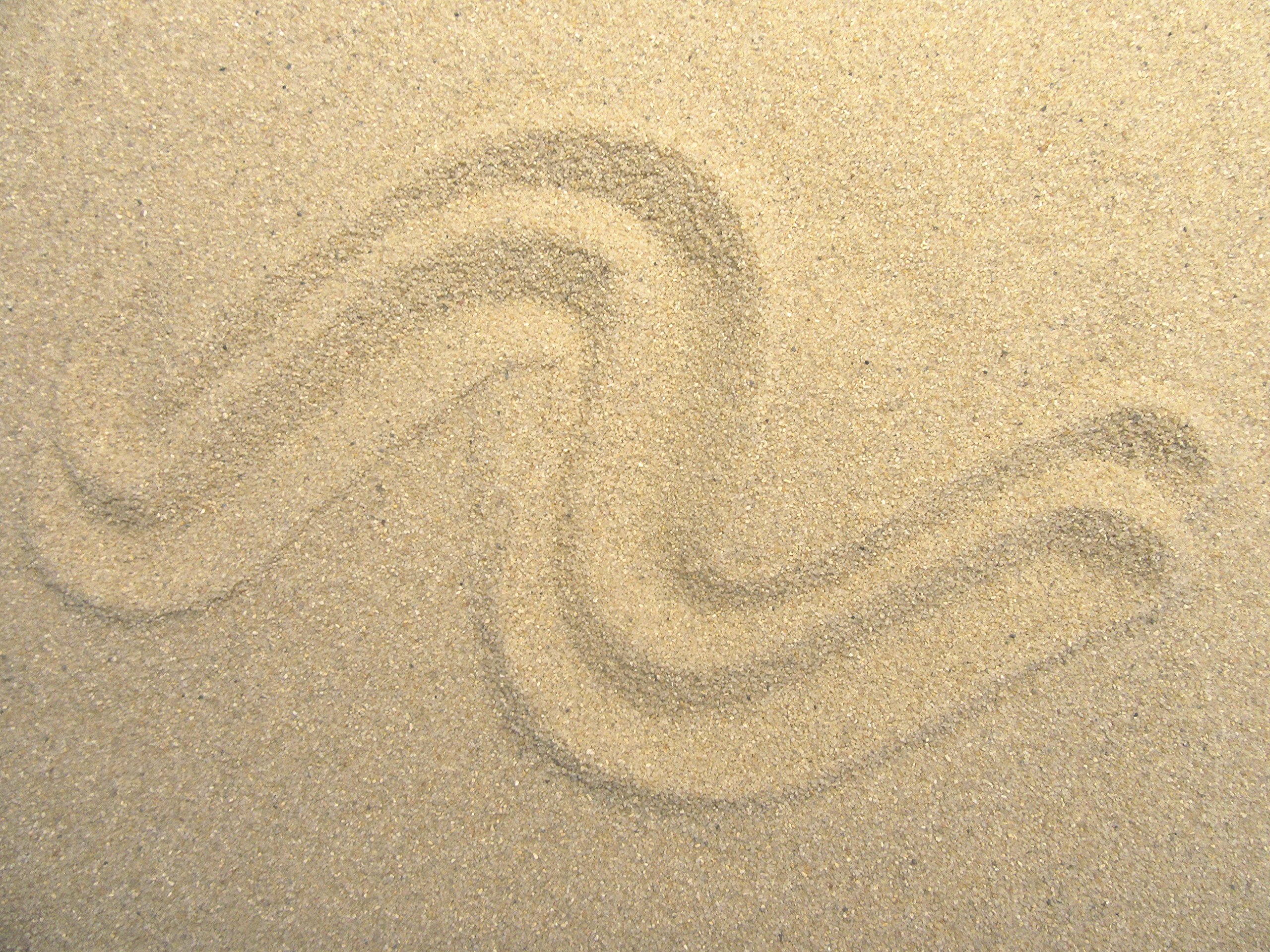 Aquarium Sand Grain 1kg, 5kg, 10kg, 25kg, 30kg, 0.4 - 0.8 mm Beige Natural