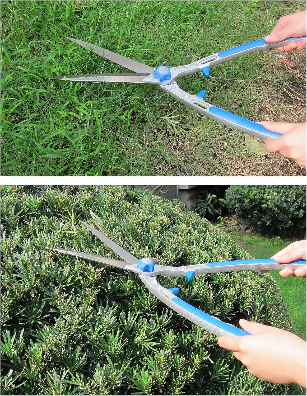 Hedge Shear 23.8 Inch (605MM), Grass Shear, Lawn Shear, 9 Inches (230MM) Stainless Steel Blade - Image 3