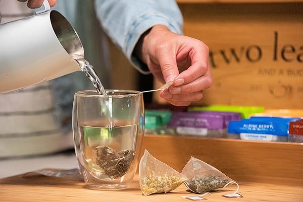 TWO LEAVES AND A BUD ORGANIC TAMAYOKUCHA GREEN TEA BAGS, WHOLE LEAF GREEN TEA IN COMPOSTABLE SACHETS, JAPANESE GREEN TEA, LIGHT FLAVOR, 100 COUNT (PACK OF 1)