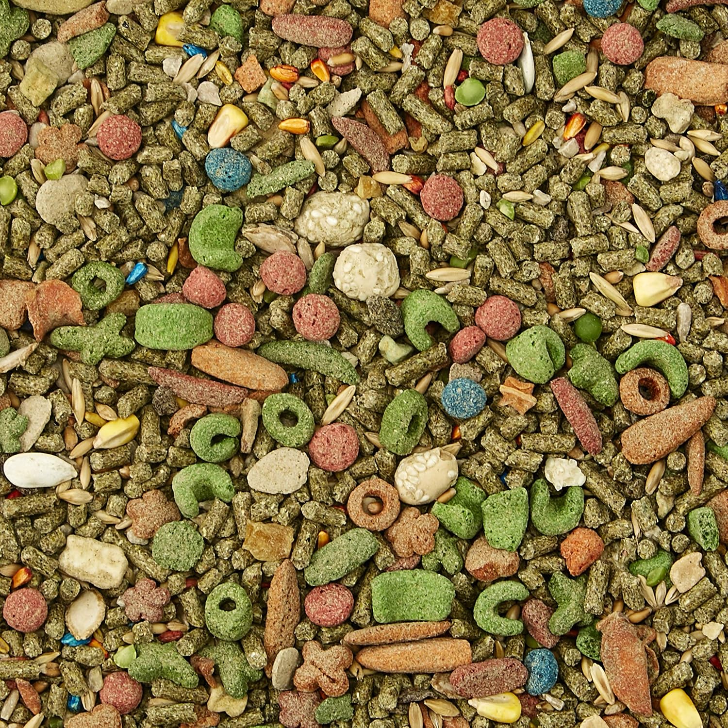 Kaytee Fiesta Guinea Pig Food, 4.5 lb : Pet Food : Pet Supplies