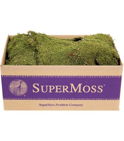 【美品】MOSS LEGIT 163cm Amazon.com: Green Moss for Crafts Artificial Moss 8.82oz