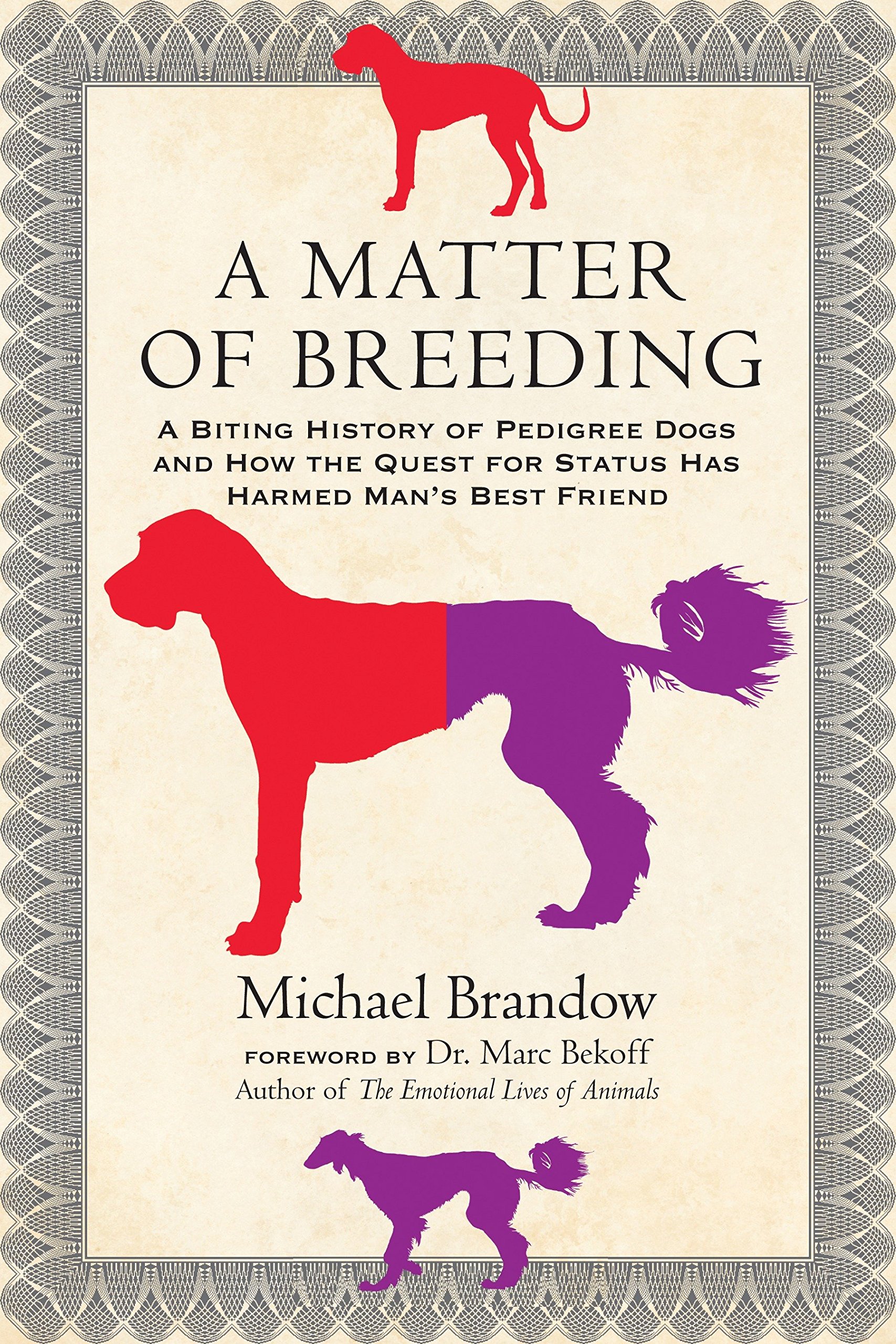 pedigree dog breeding