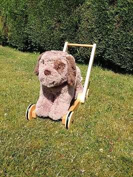 push along dog walker