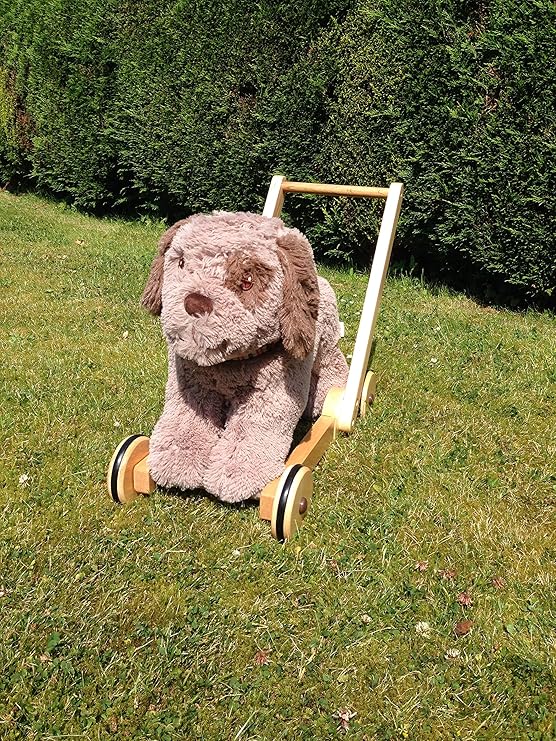 push along dog walker