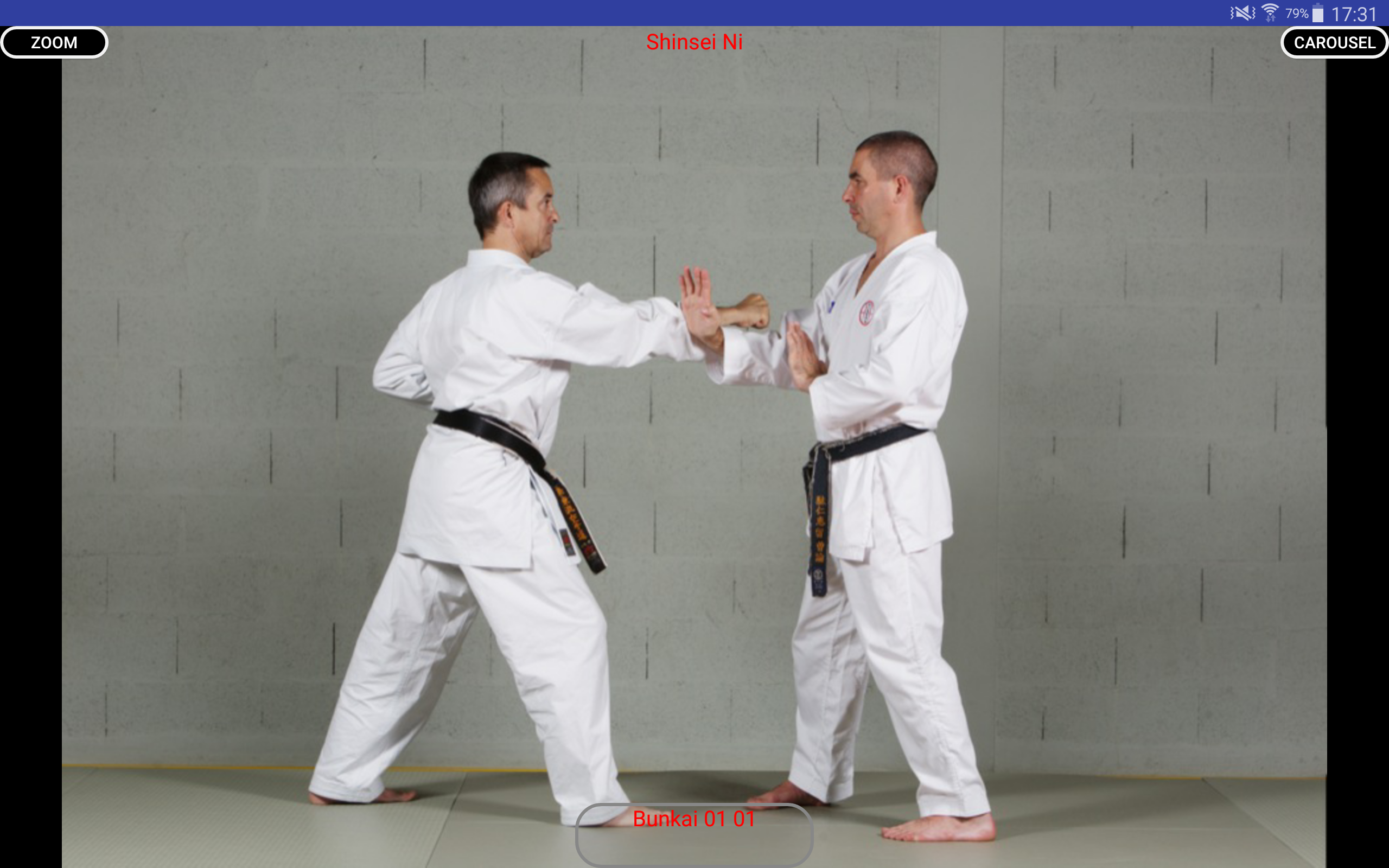 KARATE SHITORYUAmazon.esAppstore for Android