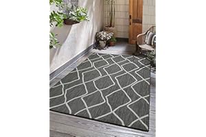 Adiva Rugs Outdoor Indoor Area Rug, Weather Resistant, Easy to Clean, Stain Resistant Floor Mat for Dining Room, Backyard, Deck, Patio (Pebble Weiss, 5' x 7')