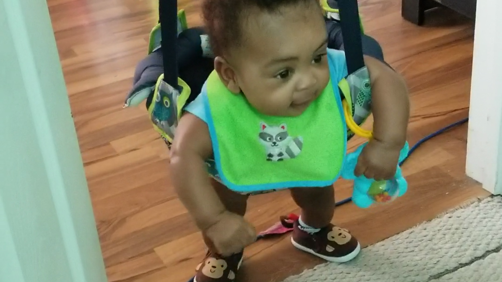 montessori exersaucer