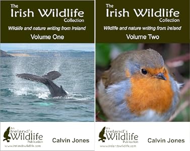 Sample irish essay on climate change picture