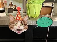 Review Image by Tiffani Tiffani