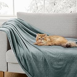 UGG 23856 Bliss Sherpa Fully Reversible Throw