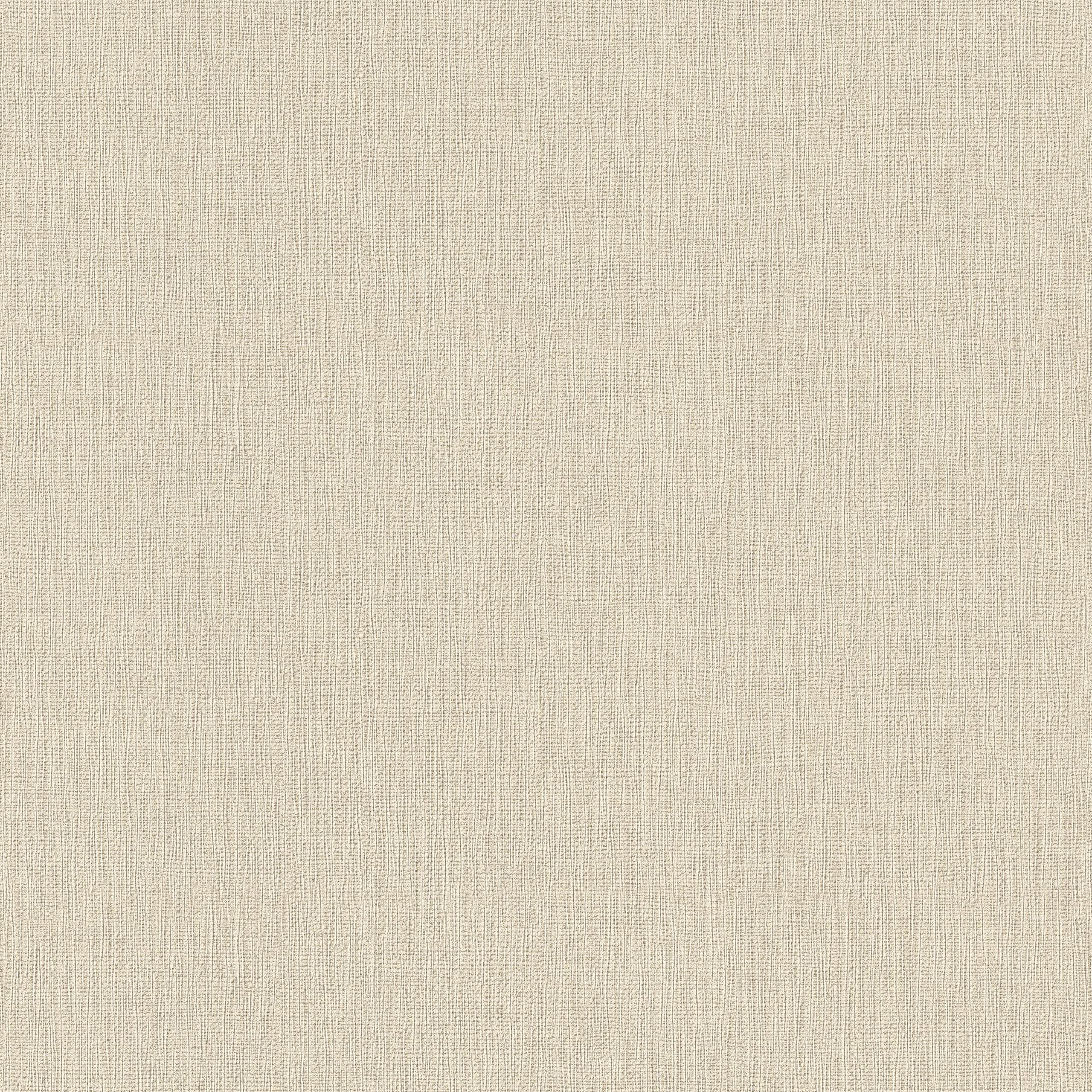 Rasch Tapeten Non Woven Wallpaper (universell) Beige 10,05 m x 0,53 m Highlands 550429