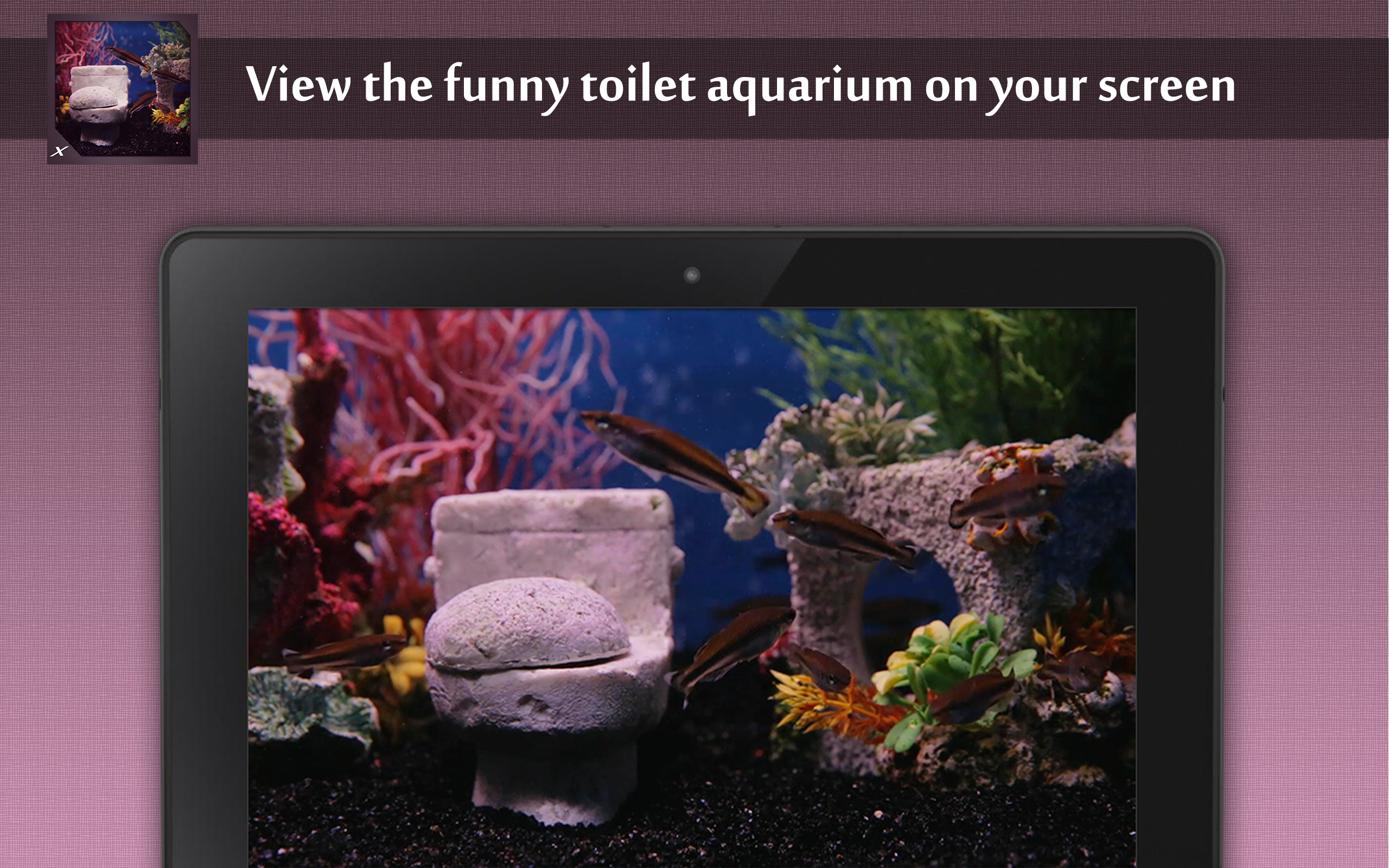 Toilet Tank aquarium